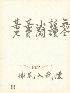 某某小说无删减免费阅读全文