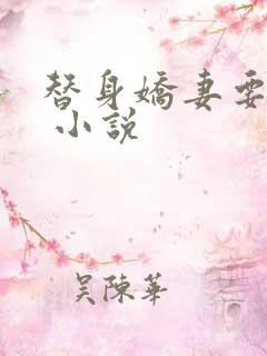 替身娇妻要离婚 小说
