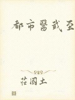 都市医武至尊