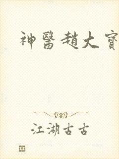 神医赵大宝全集