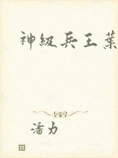 神级兵王叶寒