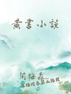 黄书小说