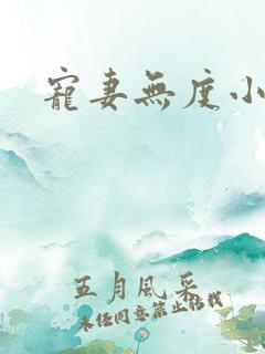 宠妻无度小说