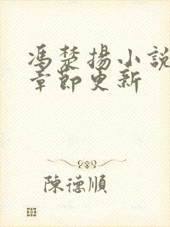 冯楚扬小说最新章节更新