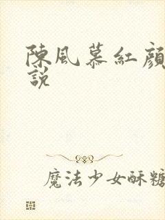 陈风慕红颜 小说