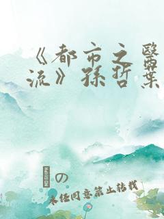 《都市之医武风流》孙哲叶巧朱颜