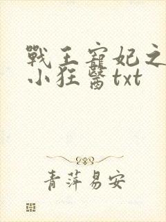 战王宠妃之倾世小狂医txt