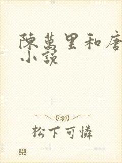 陈万里和唐嫣然小说