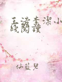 王浩李洁小说在线阅读