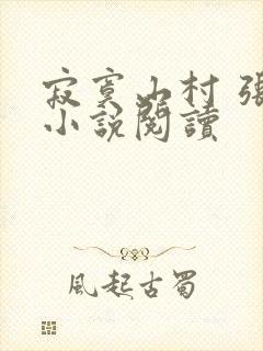 寂寞山村 张瑶小说阅读