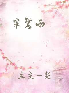 宁鹭雨