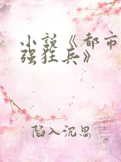小说《都市之最强狂兵》