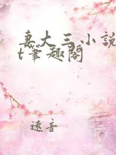 妻大三小说txt笔趣阁