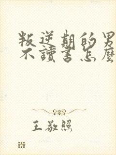叛逆期的男孩子不读书怎么办