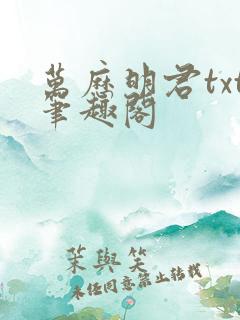 万历明君txt笔趣阁