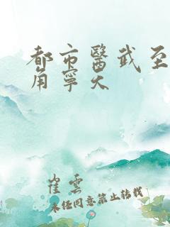 都市医武至尊主角宁天