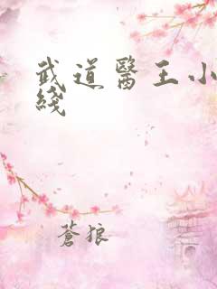 武道医王小说在线