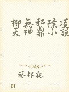 柳无邪徐凌雪吞天神鼎小说