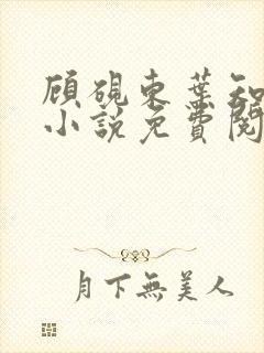 顾砚东叶知安的小说免费阅读全文