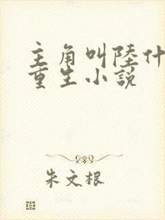 主角叫陆什么的重生小说