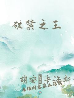 破禁之王