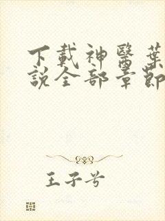 下载神医叶凡小说全部章节