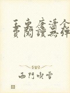 王东唐潇全文免费阅读无弹窗小说
