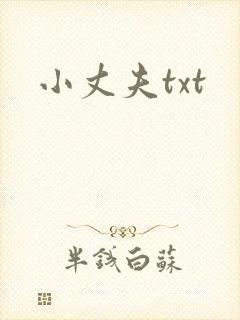 小丈夫txt