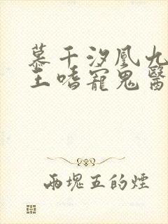 慕千汐凰九夜邪王嗜宠鬼医狂妃免费阅读