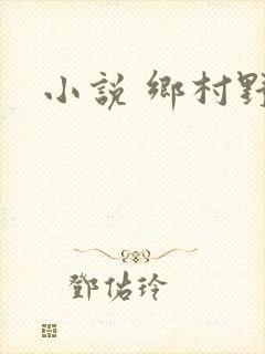 小说 乡村野事