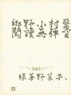 乡野小村医免费阅读无弹窗