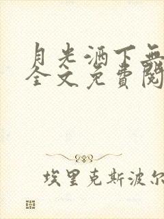 月光洒下无人巷全文免费阅读