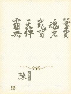 霸天武魂笔趣阁无弹窗免费阅读