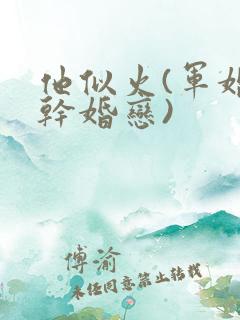 他似火(军婚高干婚恋)