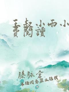 王叔小雨小说免费阅读