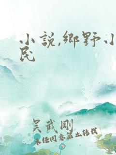 小说,乡野小农民