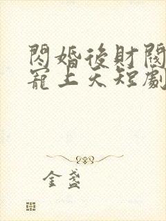 闪婚后财阀老公宠上天短剧
