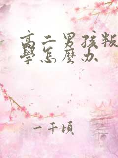 高二男孩叛逆厌学怎么办