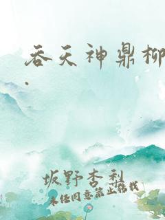 吞天神鼎柳无邪.