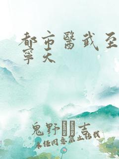 都市医武至尊 宁天