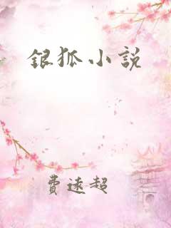 银狐小说