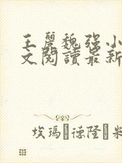 王丽魏强小说全文阅读最新章节