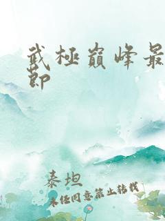 武极巅峰最新章节