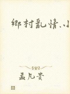 乡村乱情.小说