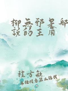 柳无邪是哪本小说的主角