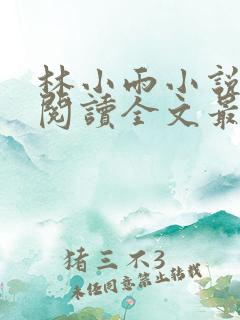 林小雨小说免费阅读全文最新章节