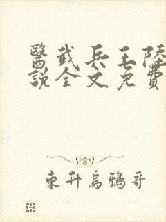 医武兵王陆轩小说全文免费