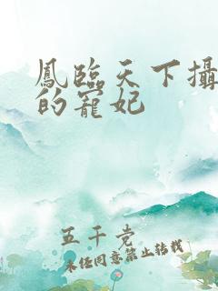 凤临天下摄政王的宠妃