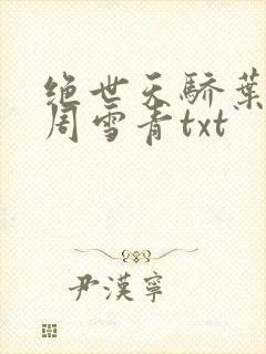绝世天骄叶凌天周雪青txt