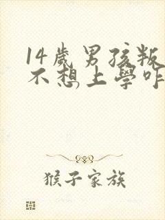 14岁男孩叛逆不想上学咋办